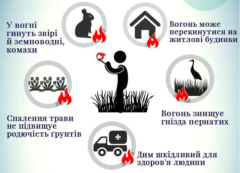 Не спалюйте сухе листя